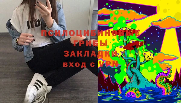 соль курить ск Арсеньев