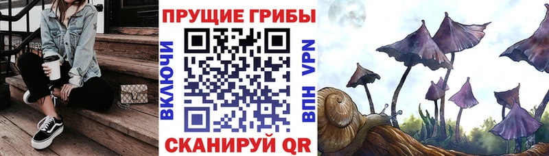 Псилоцибиновые грибы прущие грибы  наркотики  Щёлкино 